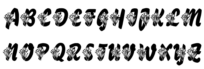 LMS Tulips Font OTHER CHARS