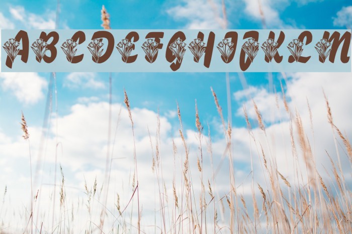 LMS Tulips Font examples