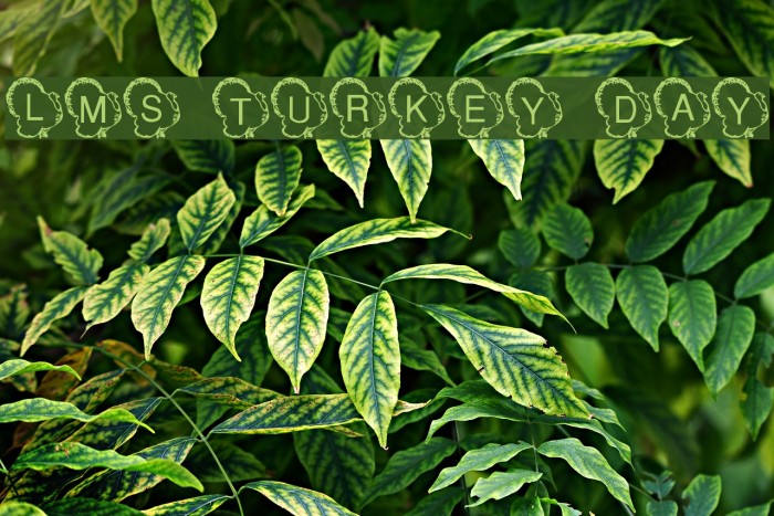 LMS Turkey Day Font examples