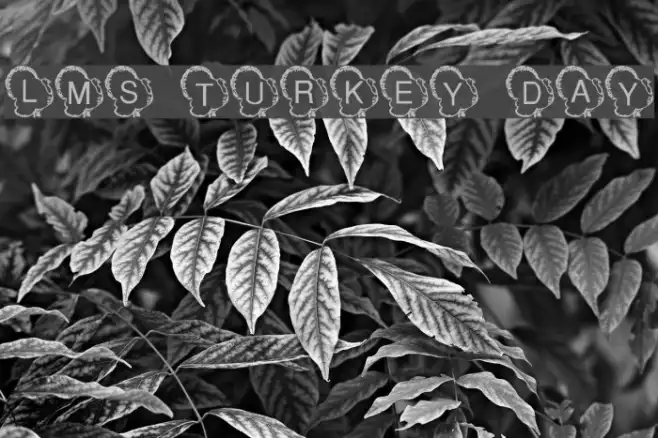 LMS Turkey Day Example 1