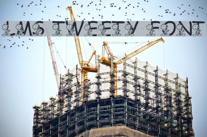 LMS Tweety Font Font examples