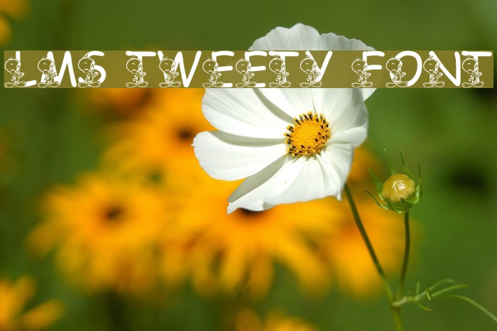 LMS Tweety Font Font examples