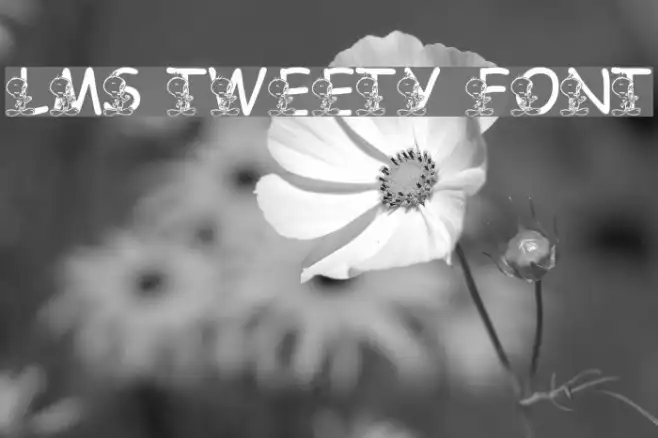LMS Tweety Font Example 3