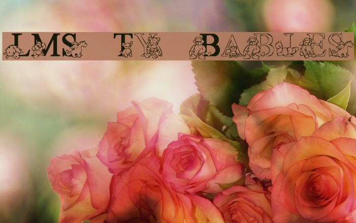 LMS Ty Babies Example 1