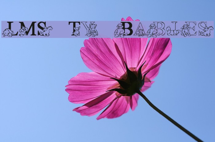 LMS Ty Babies Example 3