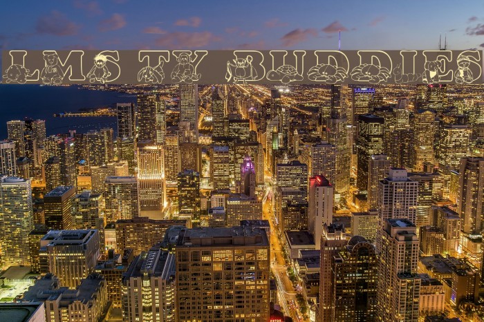 LMS Ty Buddies Example 1