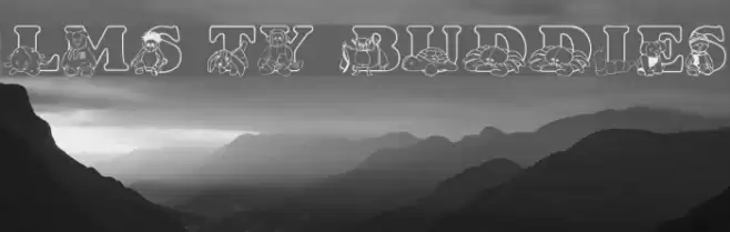 LMS Ty Buddies Font examples