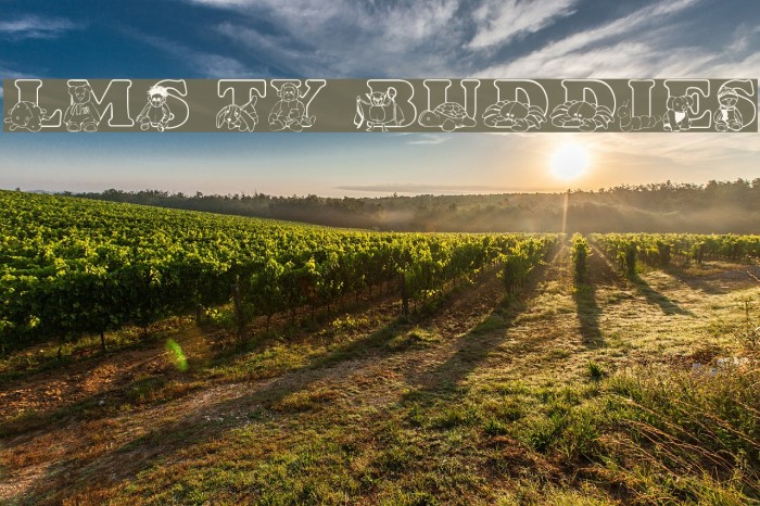 LMS Ty Buddies Example 3