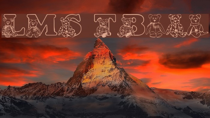 LMS TyBears Example 1