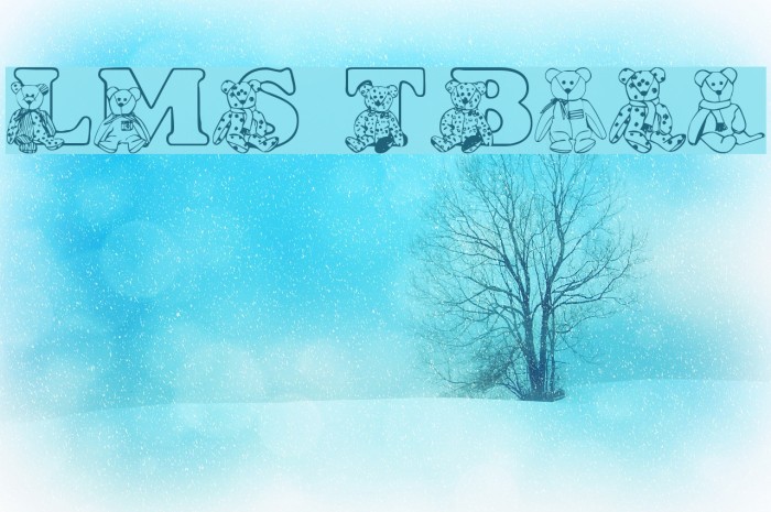 LMS TyBears Example 2