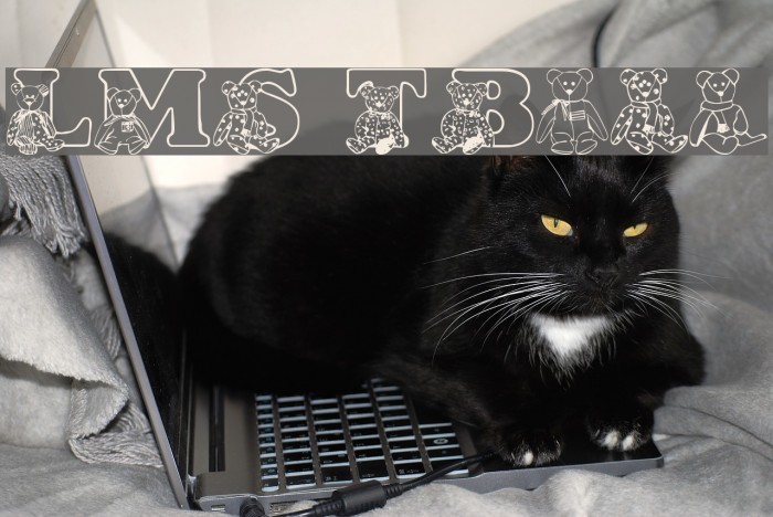 LMS TyBears Example 3