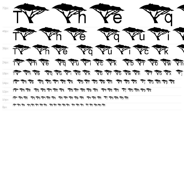 LMS Under An Acacia Tree Waterfall