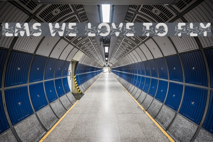 LMS We Love To Fly Font examples