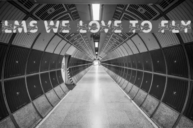 LMS We Love To Fly Example 3
