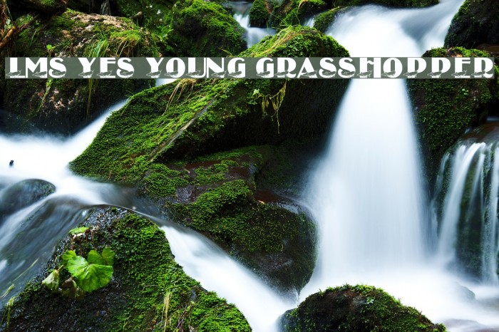 LMS Yes Young Grasshopper Font examples