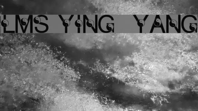 LMS Ying & Yang Font examples