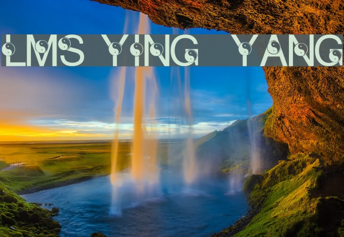 LMS Ying & Yang Example 2