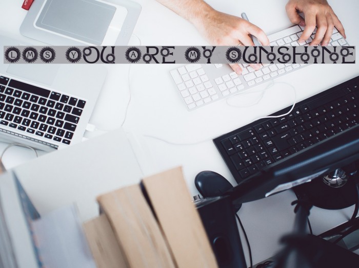 LMS You Are My Sunshine Font examples