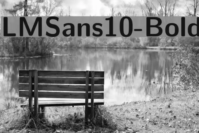 LMSans10-Bold Font examples