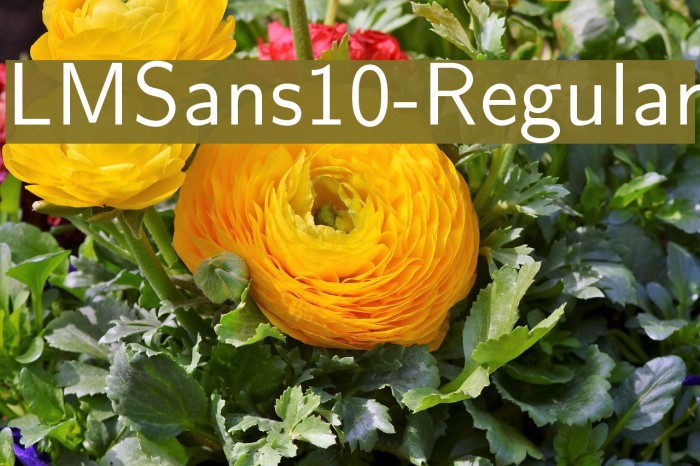 LMSans10-Regular Font examples