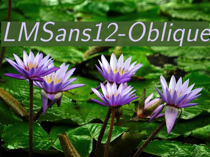 LMSans12-Oblique Font examples