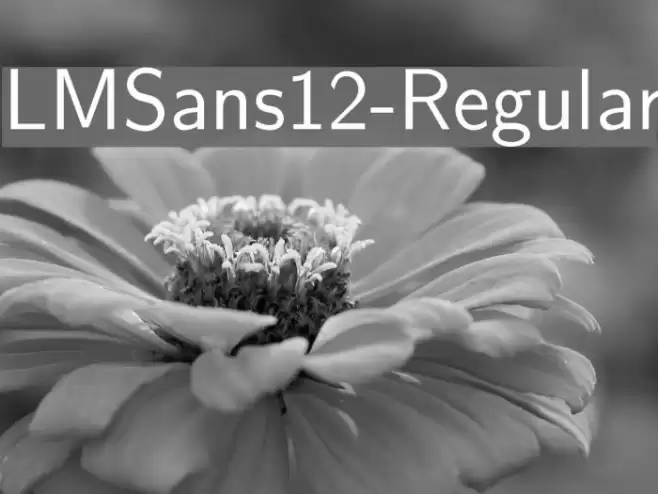 LMSans12-Regular Font examples