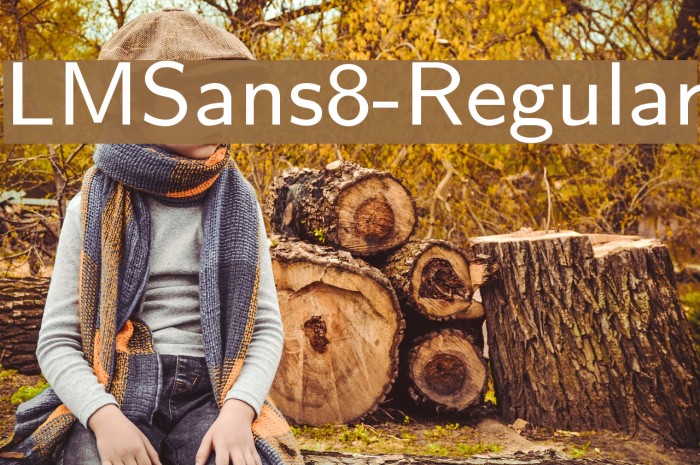 LMSans8-Regular Font examples
