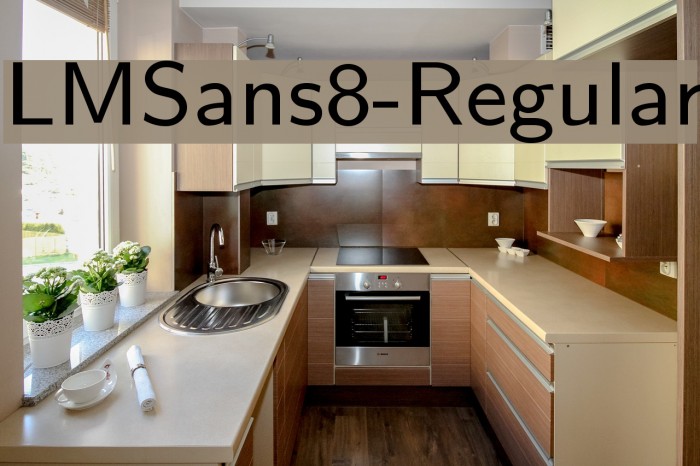 LMSans8-Regular Font examples