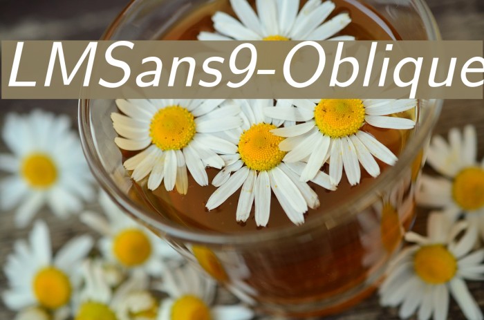LMSans9-Oblique Font examples