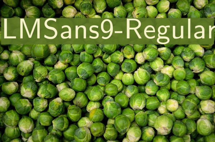 LMSans9-Regular Font examples