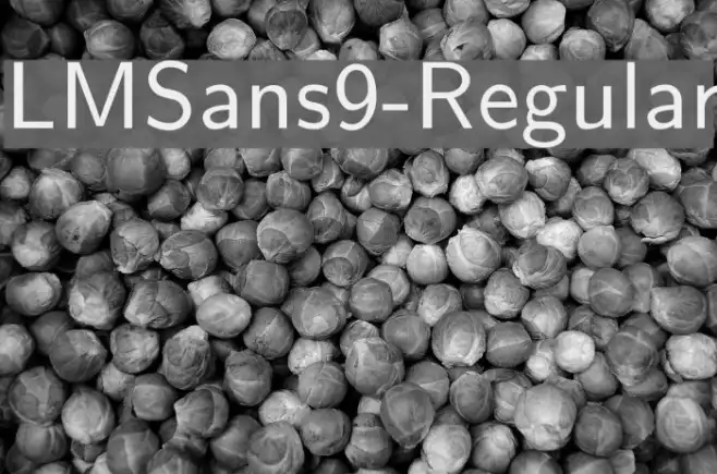 LMSans9-Regular Example 1