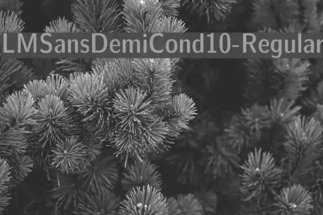 LMSansDemiCond10-Regular Example 3