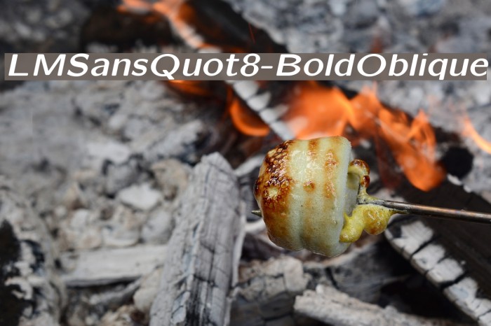 LMSansQuot8-BoldOblique Font examples