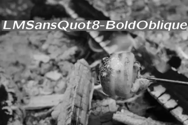 LMSansQuot8-BoldOblique Font examples