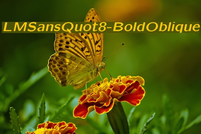 LMSansQuot8-BoldOblique Font examples