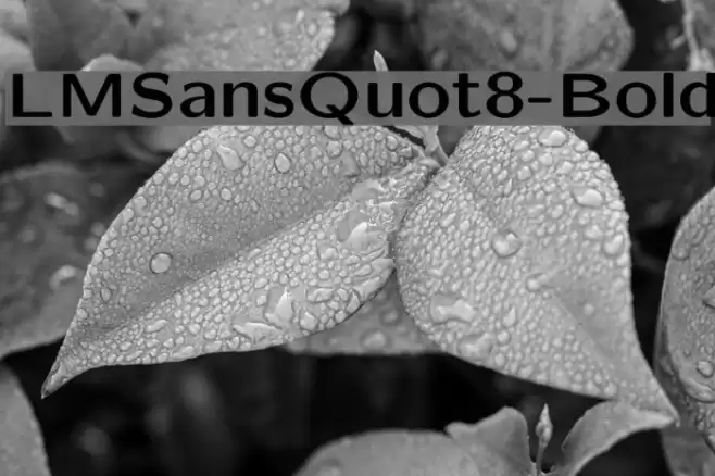 LMSansQuot8-Bold Font examples