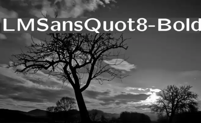 LMSansQuot8-Bold Font examples
