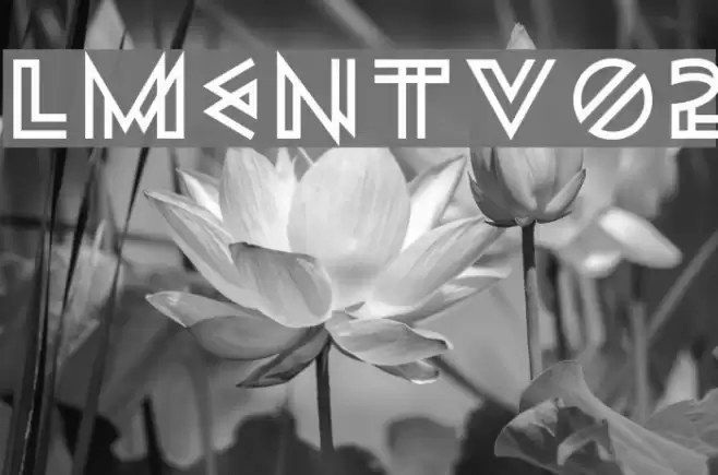 Lment-v02 Font examples