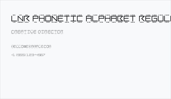 LNR Phonetic Alphabet Regular Business Card
