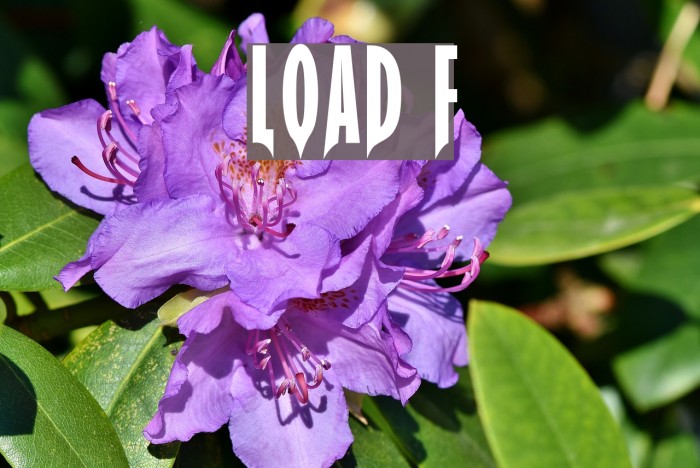 LOAD Font examples