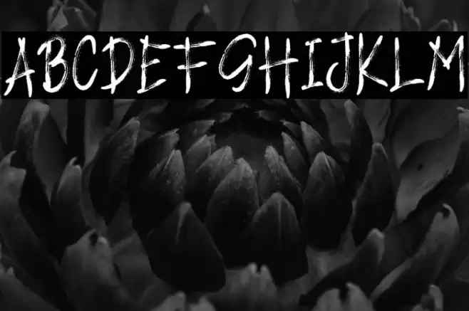 LOCK DOWN Font examples