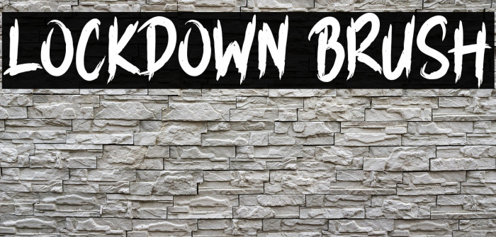 LOCKDOWN BRUSH Example 1