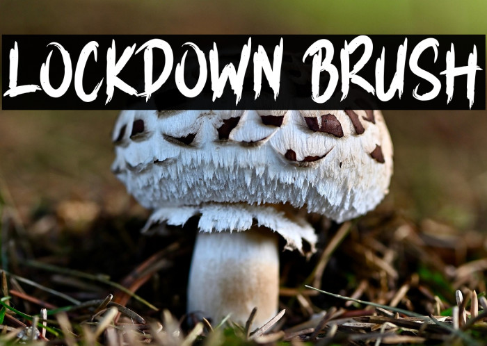 LOCKDOWN BRUSH Example 2