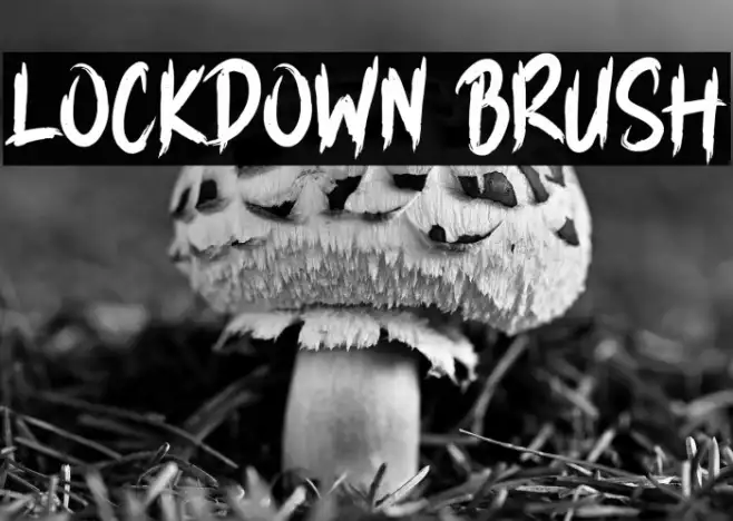 LOCKDOWN BRUSH Example 2