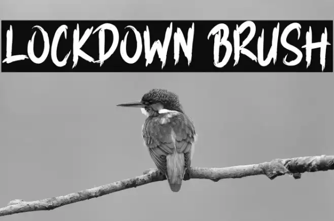 LOCKDOWN BRUSH Example 3