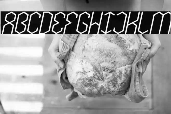 LOIS CESARANO Bold Italic Font examples