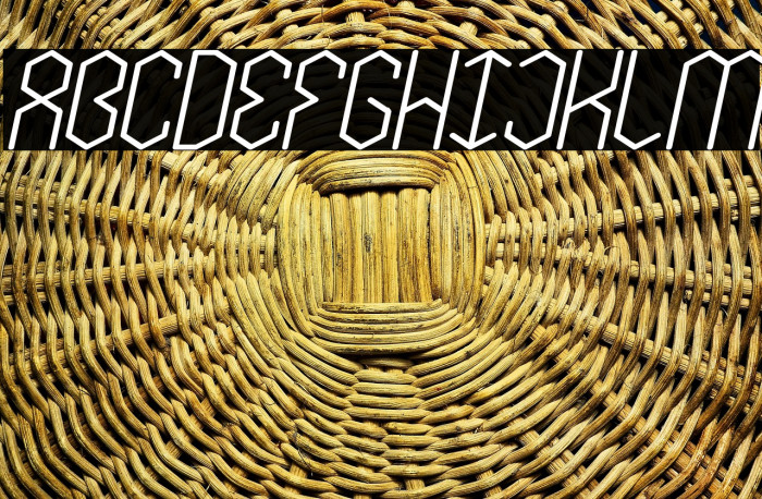 LOIS CESARANO Bold Italic Example 3