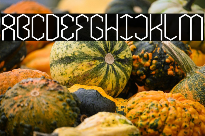 LOIS CESARANO Bold Example 1