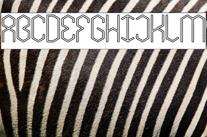 LOIS CESARANO-Hollow Bold Example 2