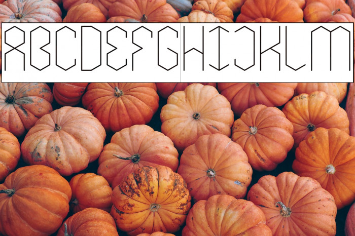 LOIS CESARANO-Inverse Example 2